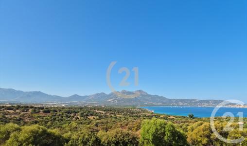 Lumio, Corse 20260, 프랑스