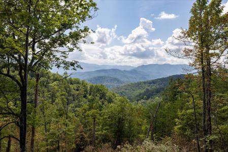 1080 Hembree Hollow Rd, Townsend, Tennessee 37882, USA