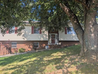128 Ashley Drive, Mount Carmel, Tennessee 37645, USA