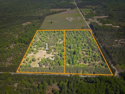 V/L Makenin Rd Parcel #1 /19 A, Kaleva, Michigan 49645, États-Unis