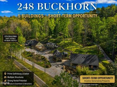 238/248 Buckhorn Road, Gatlinburg, Tennessee 37738, USA