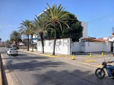 Porlamar, Nueva Esparta 00001, Venzuela