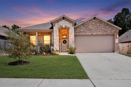 12223 Antilles Lane, Conroe, טקסס 77304, ארצות הברית של אמריקה
