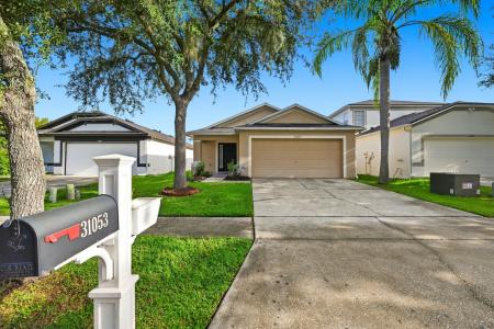 31053 Tagus Lp, Wesley Chapel, Florida 33545, USA