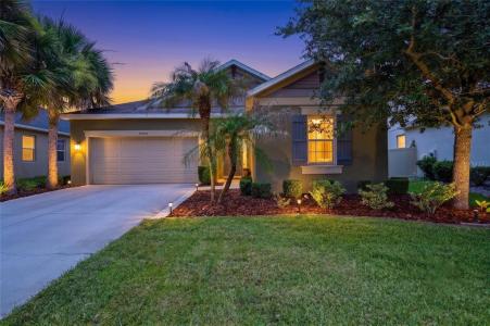 27035 Carolina Aster Drive, Wesley Chapel, Florida 33544, USA