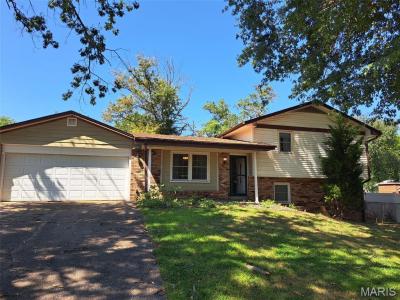 1808 Ferndale Street, Cape Girardeau, Missouri 63701, Stati Uniti
