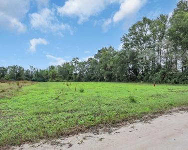 TBD Willow Grove Dr., Loris, Caroline Du Sud 29569, États-Unis
