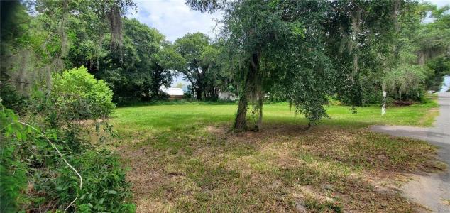 206 E PINE Avenue, Mount Dora, Florida 32757, USA