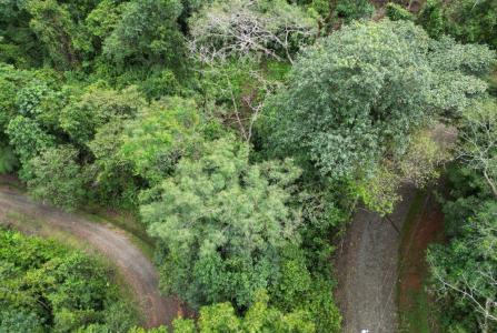Quepos Quepos, 蓬塔雷納斯 60601, 哥斯達尼加