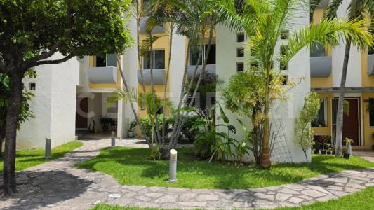 Av Constitucion int 103 1655,, Colima, Colima 28017, México