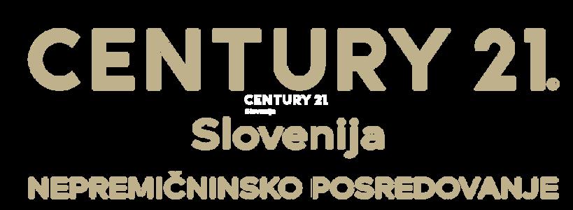Stanetova ulica, Celje, Savinjska 3000, 斯洛文尼亚