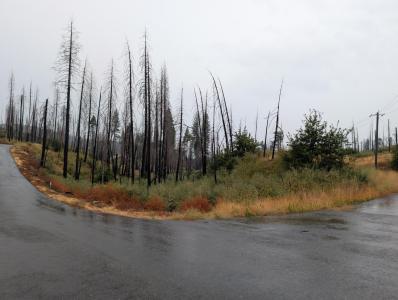 7290 Grizzly Creek Drive, Grizzly Flats, Californie 95636, États-Unis