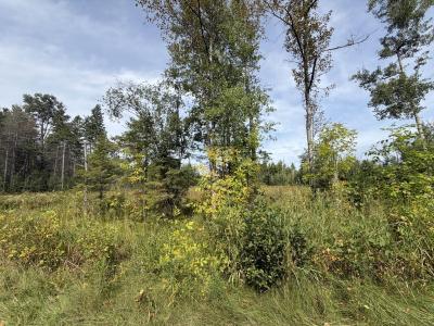 370 Beaver Shores Drive, Lachine, Michigan 49753, USA