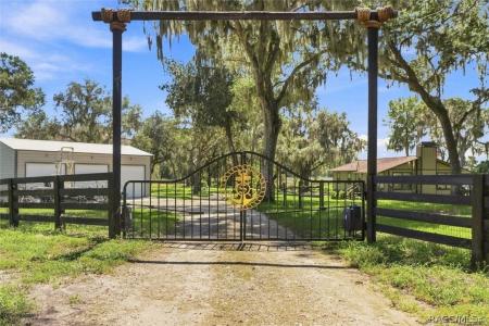 3691 N Webb Point, Hernando, Florida 34442, USA