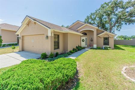 13837 Leroux Drive, Hudson, Florida 34669, USA