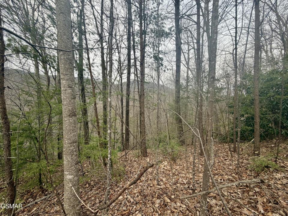 Lot 6 Thissa Way, Gatlinburg, Tennessee 37738, Estados Unidos