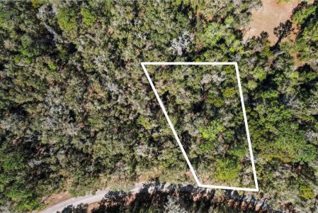 987 E Odin Drive, Dunnellon, Florida 34434, USA