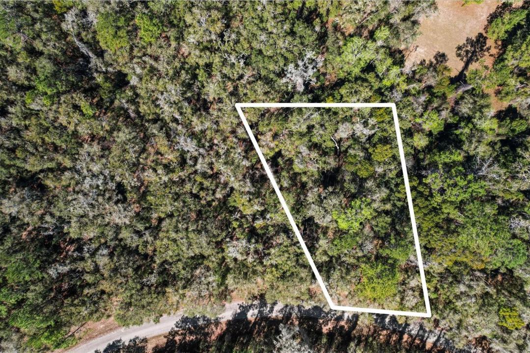 987 E Odin Drive, Dunnellon, Floryda 34434, USA
