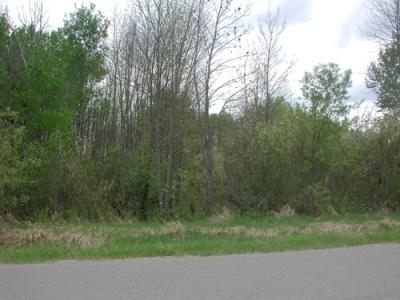 Lt 4 Blk 4 Aspen Dr, Deer River, Minnesota 56636, États-Unis