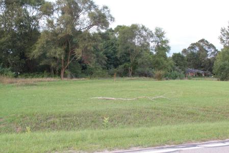 TBD Bonanza Lane, Lake Isabella, ミシガン 48893, アメリカ合衆国