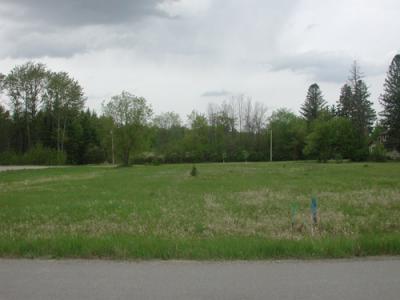 Lt 1 Blk 1 Aspen Dr, Deer River, Minnesota 56636, États-Unis