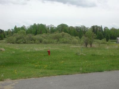 Lt 9 Blk 4 Aspen Dr, Deer River, Minnesota 56636, États-Unis