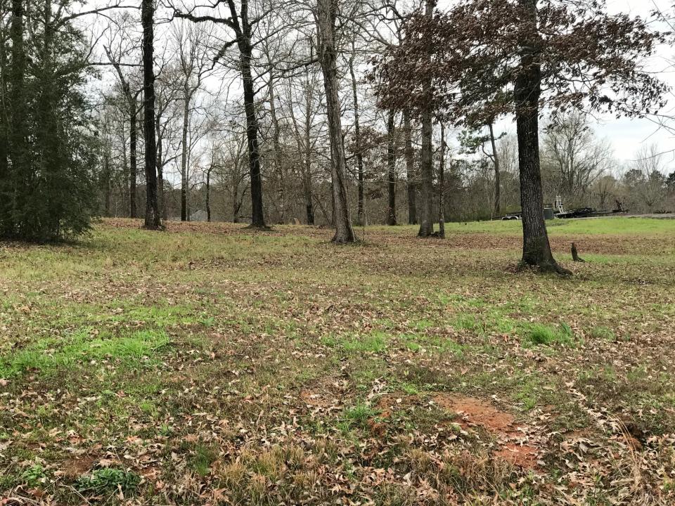 Lot 30 Brandon Estates Brandon Estates Drive, Many, 路易西安纳州 71449, 美国