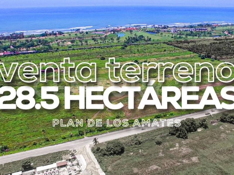 Land For Sale, Guerrero 39893