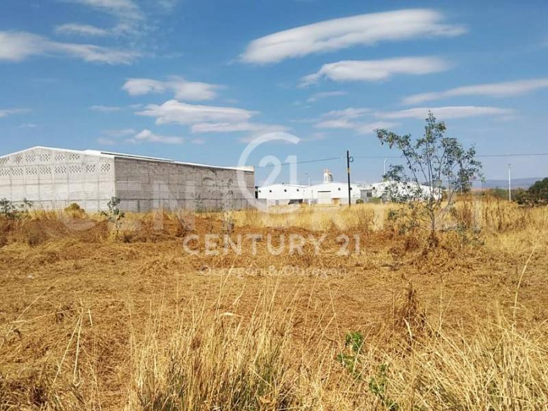 Land For Sale, Guanajuato 37490