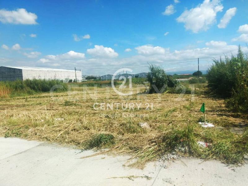 Land For Sale, Guanajuato 37490