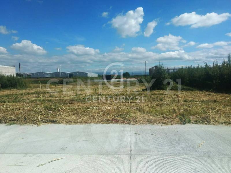Land For Sale, Guanajuato 37490