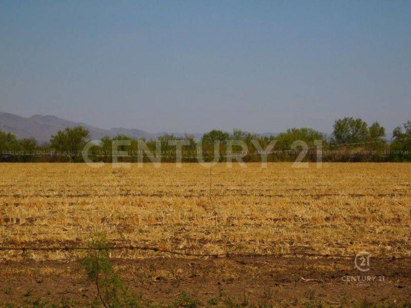 Land For Sale, Chihuahua 31622