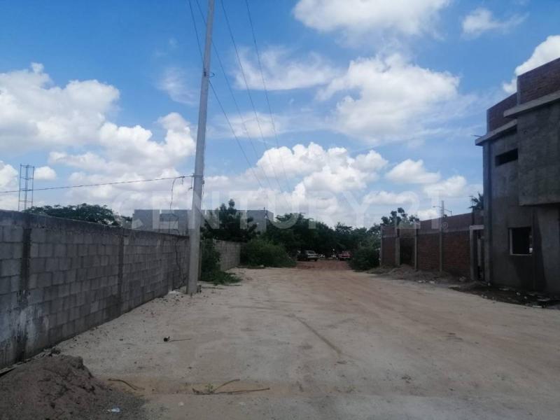 Land For Sale, Sinaloa 80029