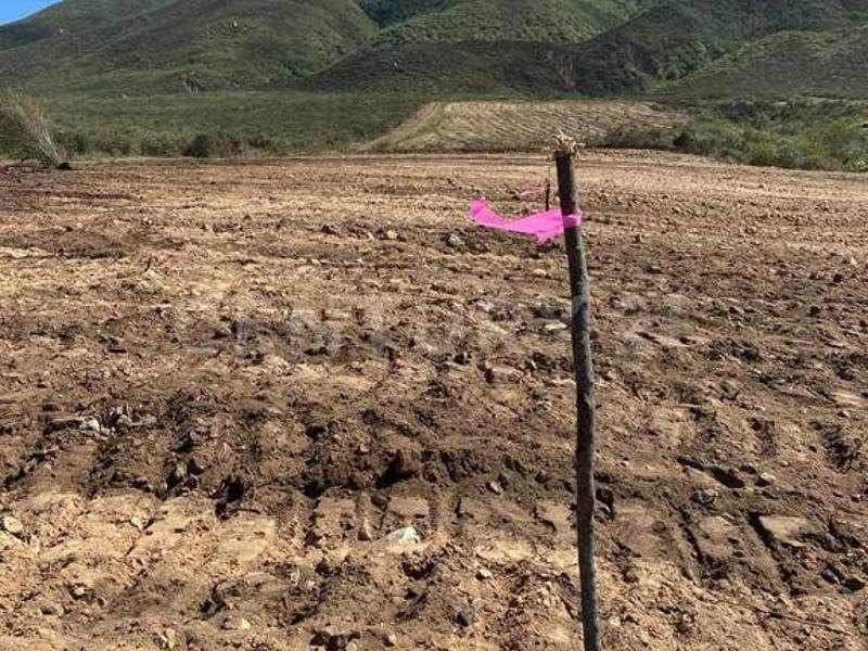 Land For Sale, Ensenada Baja California 22794 Mexico
