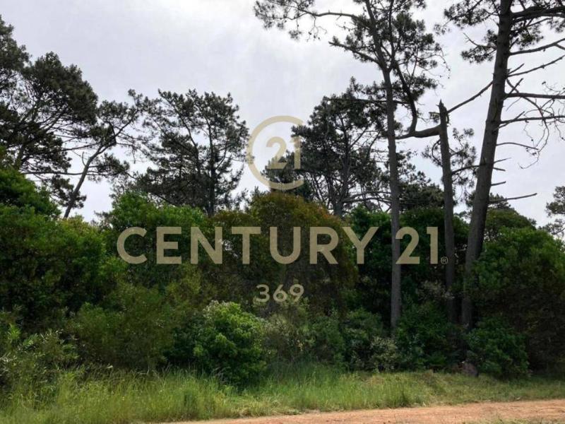 Land For Sale, Piriápolis Maldonado Uruguay