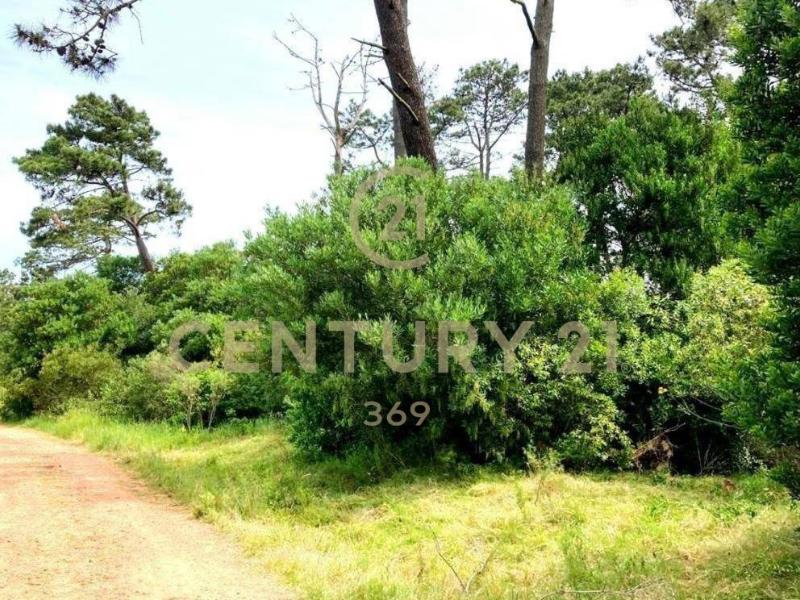 Land For Sale, Piriápolis Maldonado Uruguay