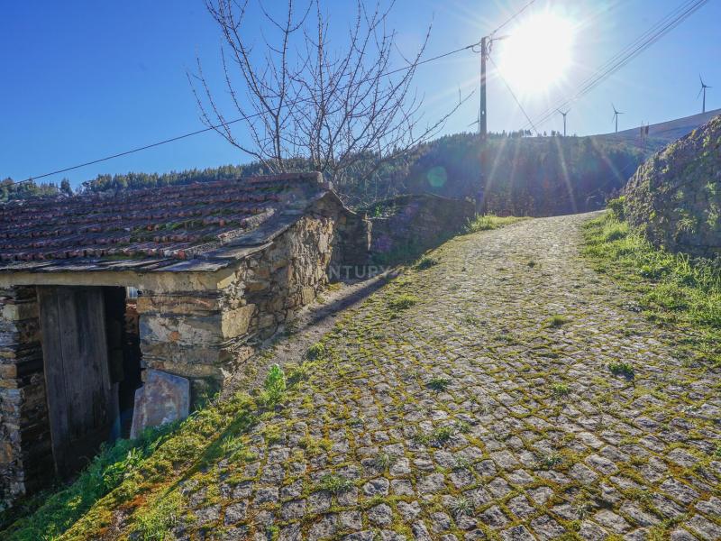 Single Family House For Sale, Coimbra 3330014