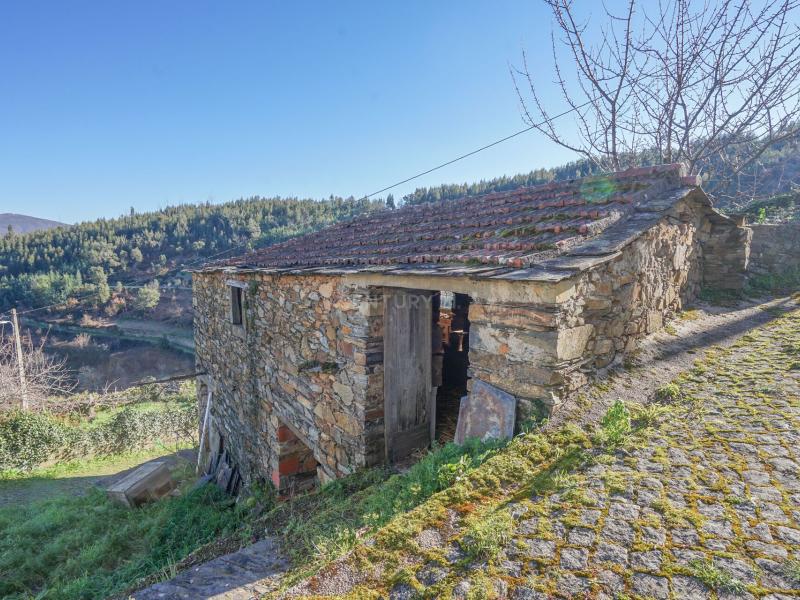 Single Family House For Sale, Coimbra 3330014