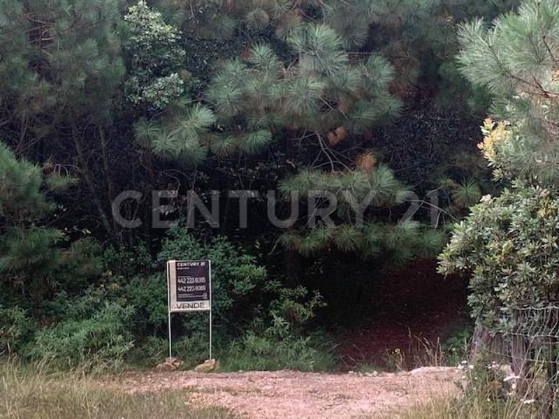 Land For Sale, LAGUNA DE SERVIN LOTE 229, Michoacán 61041