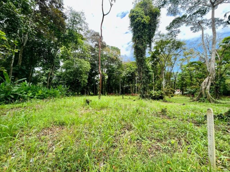 Land For Sale, Puerto Viejo Playa Negra Cahuita Talamanca Limón 70403