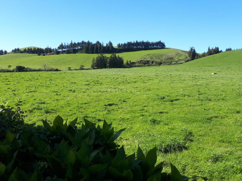 Land For Sale, Ilha de São Miguel (Açores) 9650