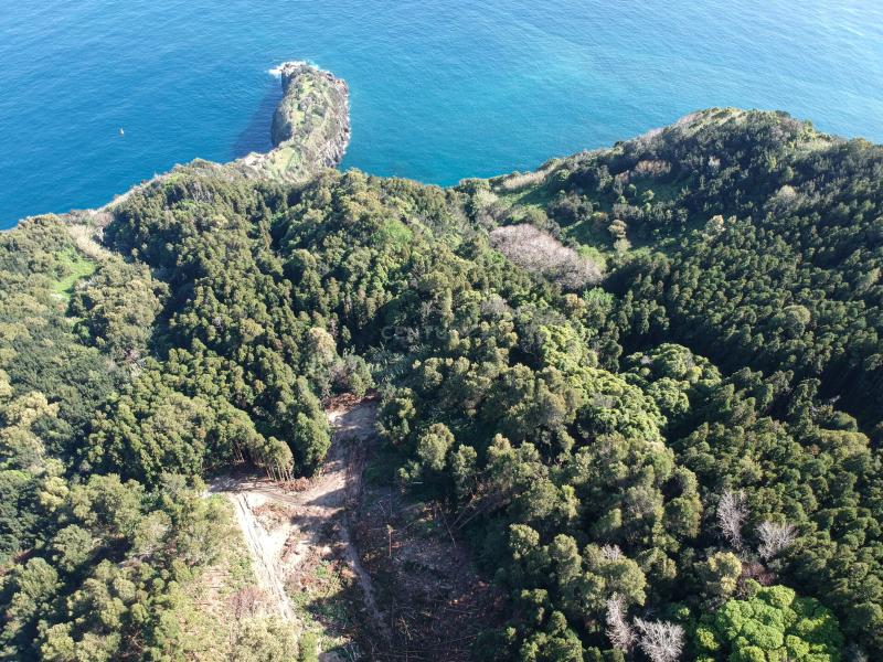Land For Sale, Ilha de São Miguel (Açores) 9675137