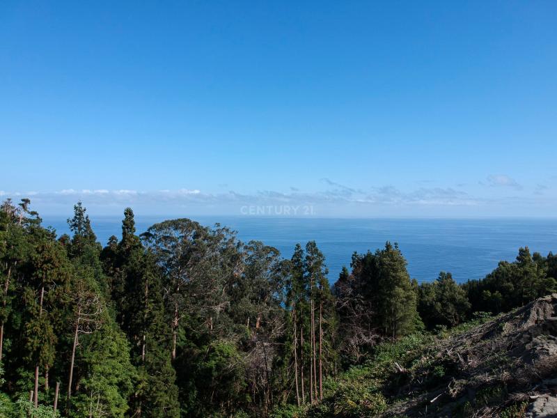 Land For Sale, Ilha de São Miguel (Açores) 9675137