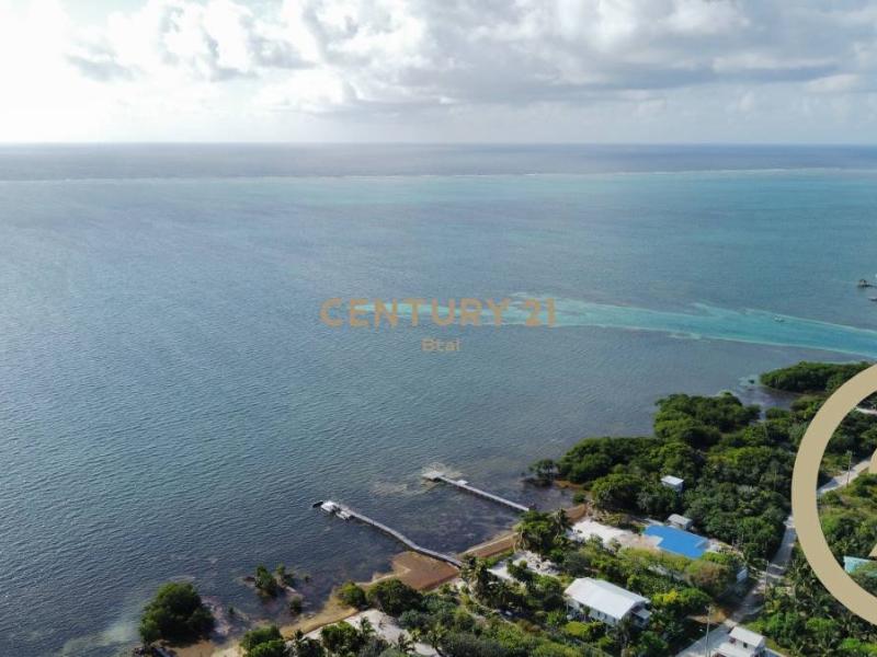 Land For Sale, Caye Caulker